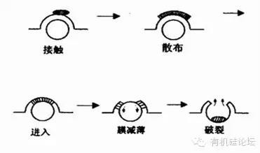 微信圖片_20190306095009